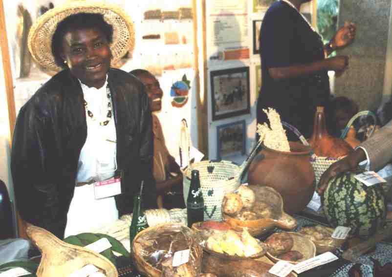 Action Aid seed display