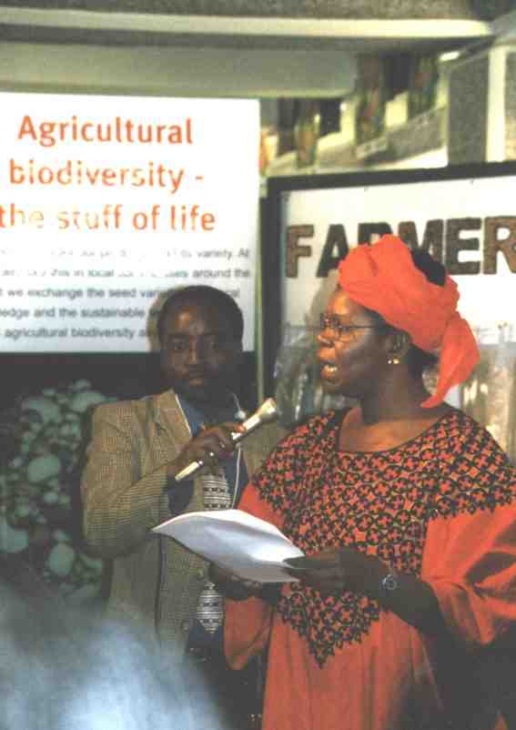 Mary Odinga, Ambassador to Japan