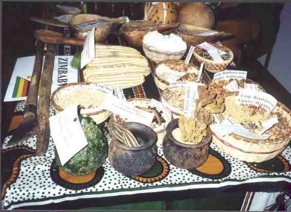 Zimbabwean seeds on display