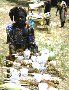 Elizabeth Michek, Seed Guardian, Maragwa, Kenya